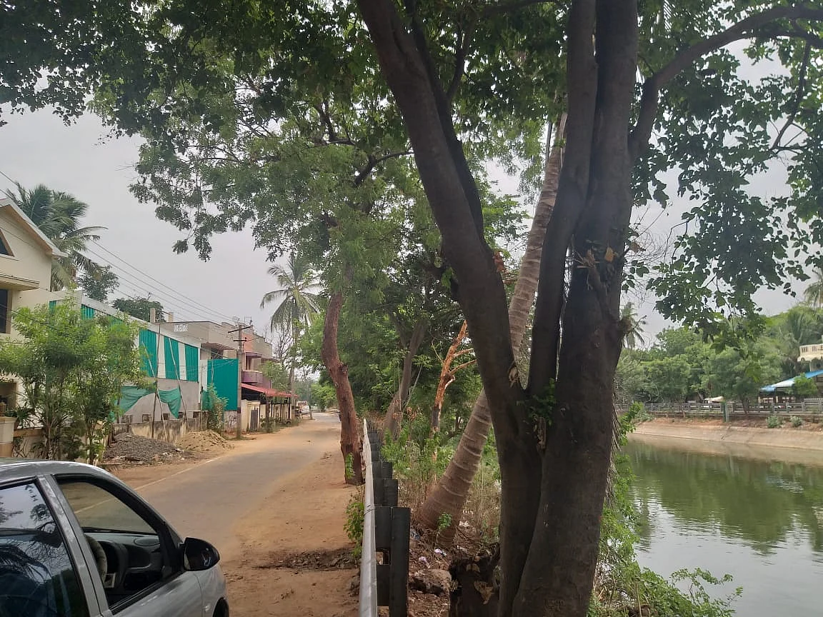 கல்லணைக் கால்வாய்