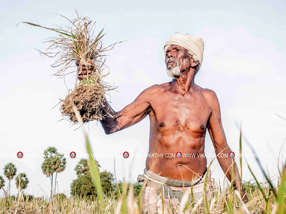 மத்திய மின்சட்டத்தால் விவசாயிகளுக்கு என்னென்ன பாதிப்புகள் நேரும்? ஓர் அலசல்!