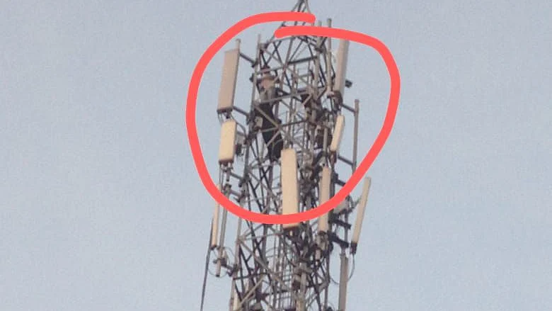 செல்போன் டவர்