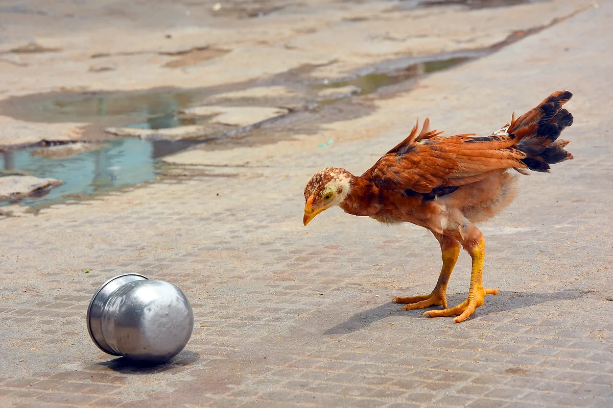 Representational Image