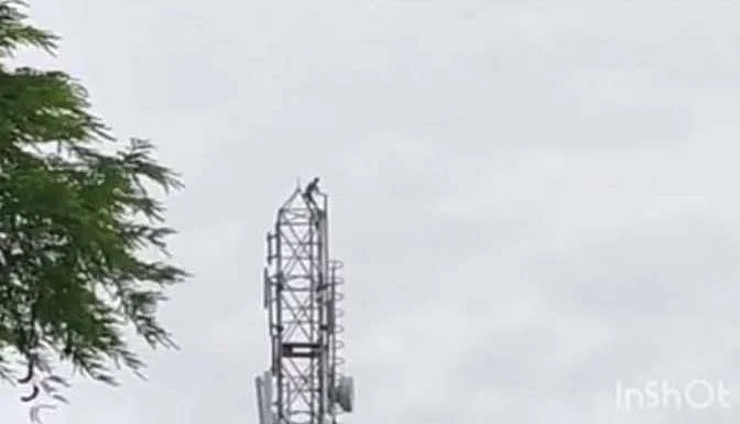 தற்கொலைக்கு முயன்ற முத்து