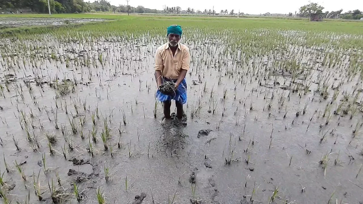 கழிவு நீரால் பாதிப்பு