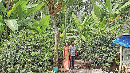 பசுமைக் கொஞ்சும் பண்ணையில் முத்துக்குமார் தம்பதி