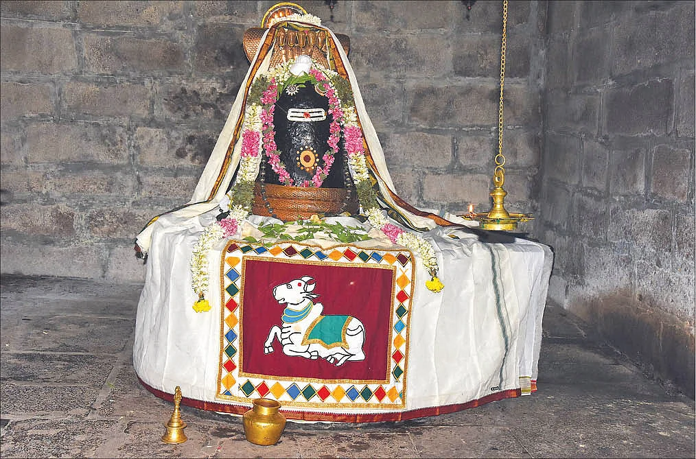 பிணிகள் தீர மூலிகை அபிஷேகம்!