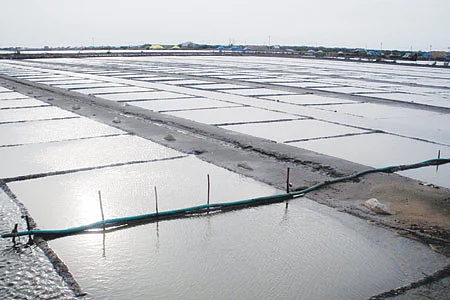 உப்பளம்