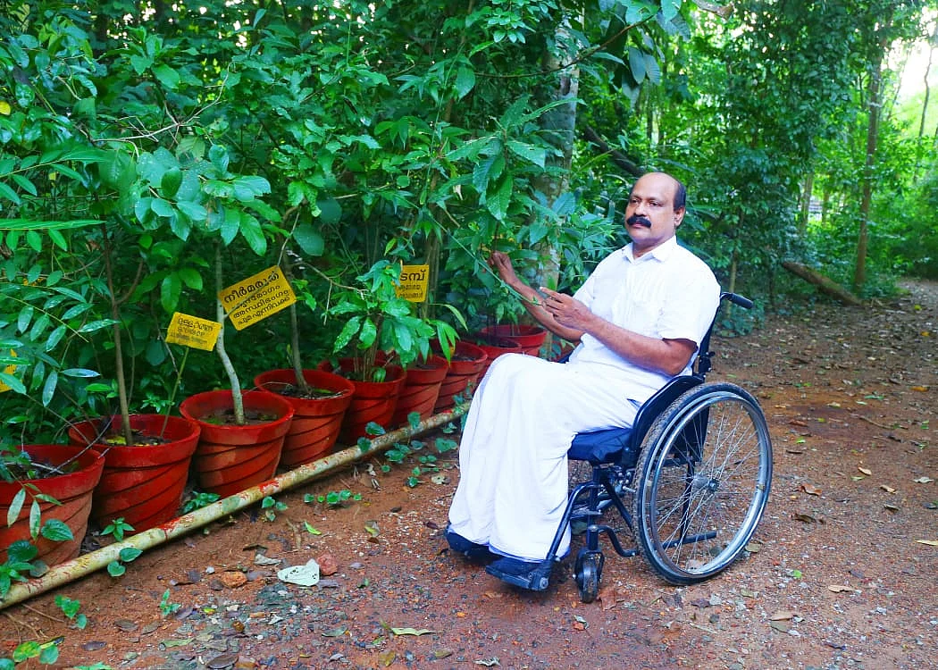 மூலிகைப் பண்ணையில் முஸ்தஃபா