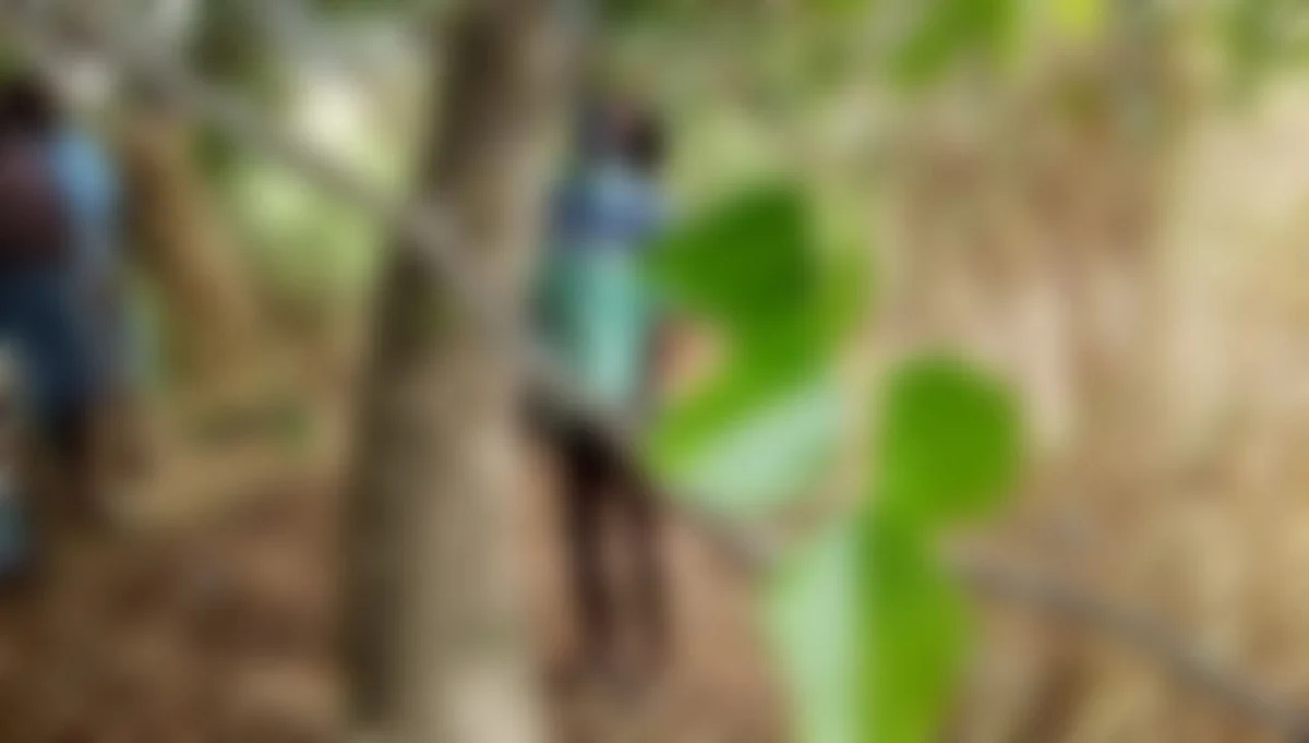 தற்கொலை செய்து கொண்ட மணி