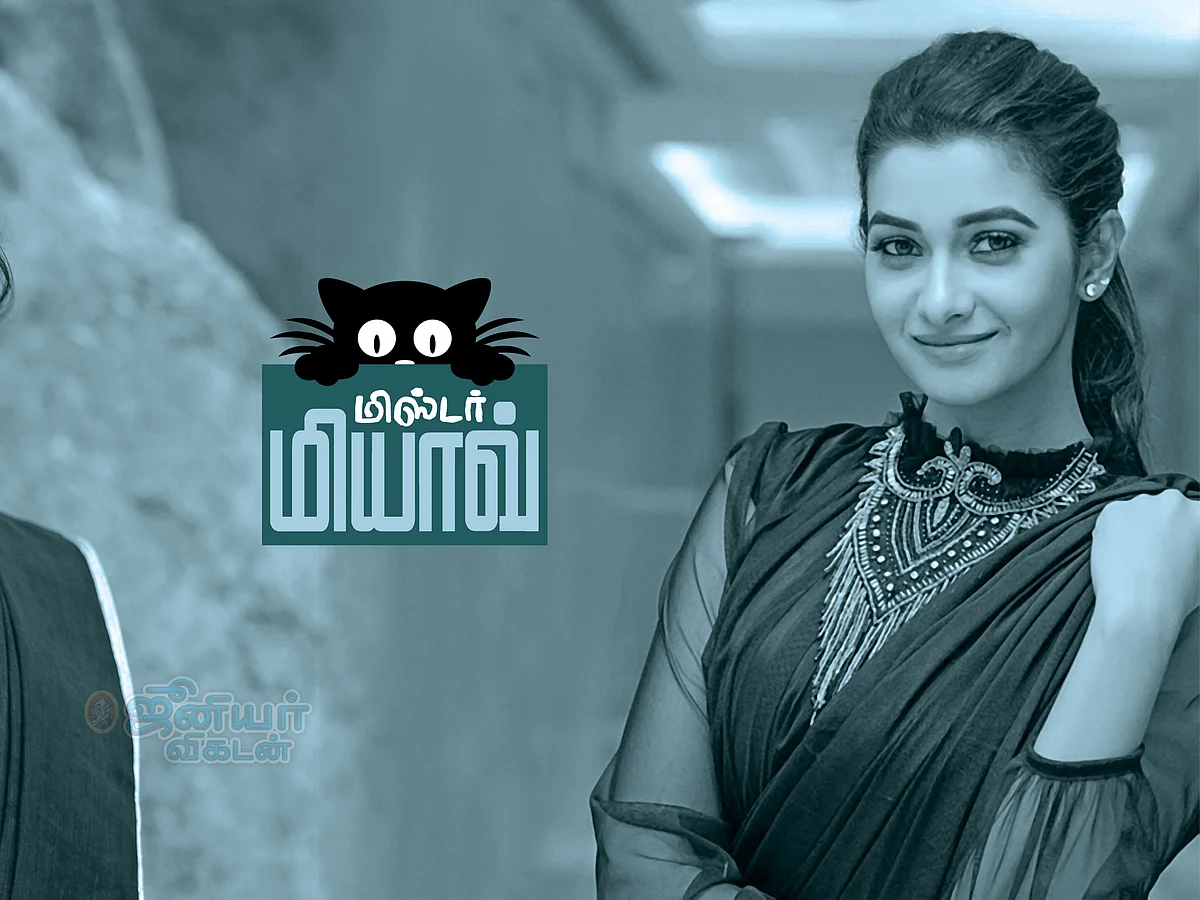 மிஸ்டர் மியாவ்