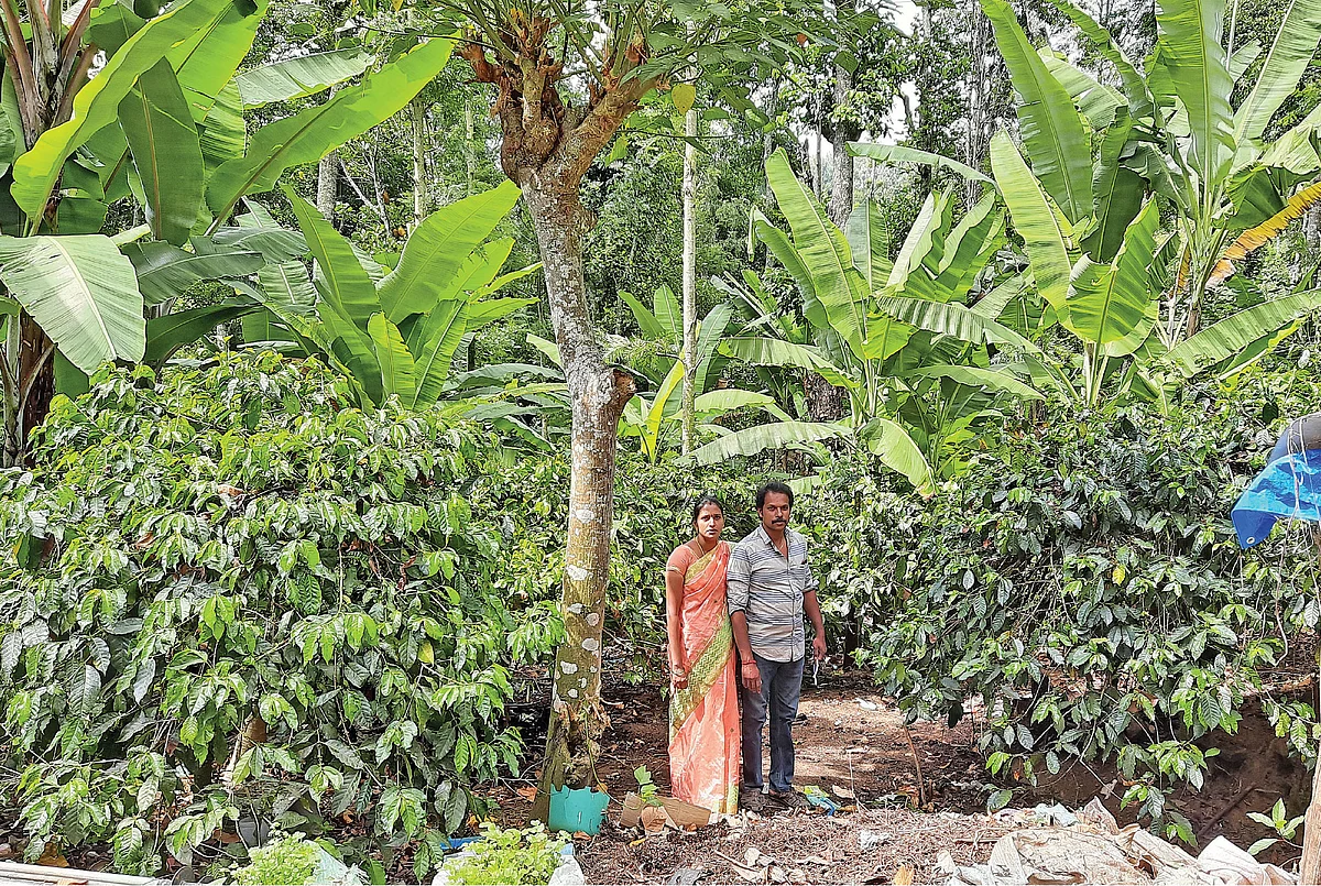 பசுமைக் கொஞ்சும் பண்ணையில் முத்துக்குமார் தம்பதி