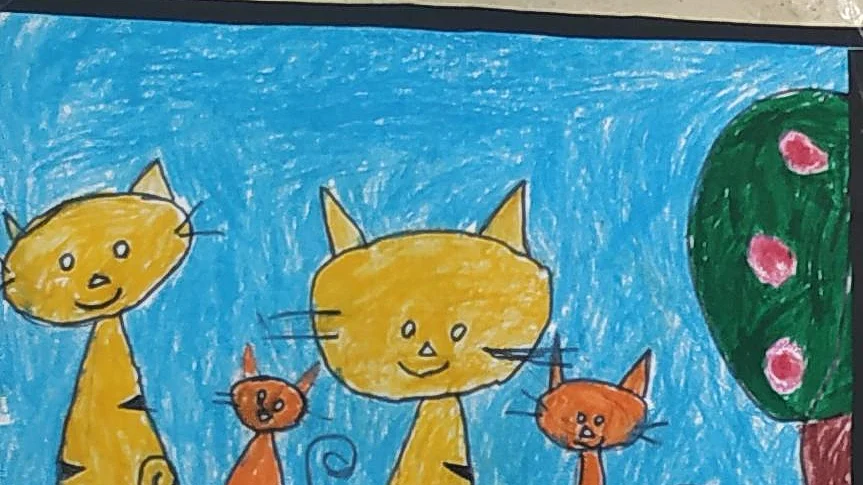 My meow family