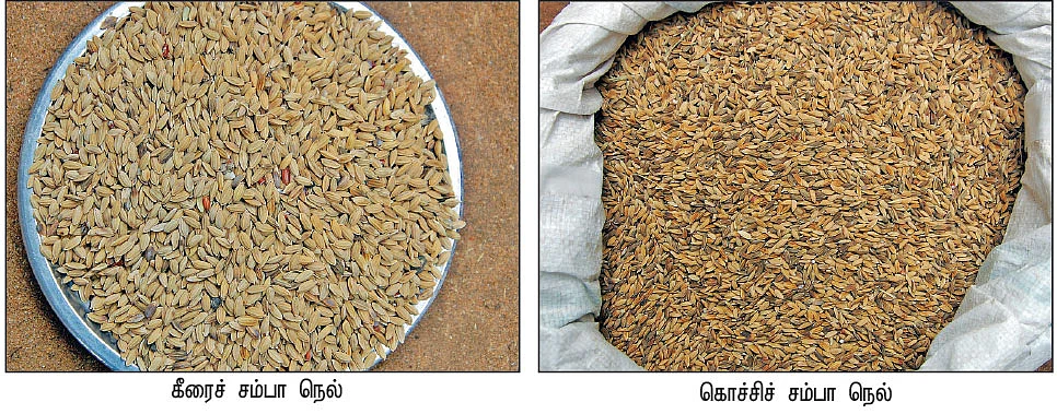 அரிசி, அவல்... மதிப்புக்கூட்டினால் மகத்தான வருமானம்!