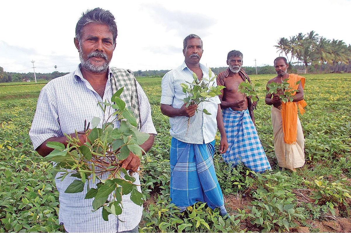 ஸ்ரீகிருஷ்ண பெருமாளுடன் குழு விவசாயிகள்