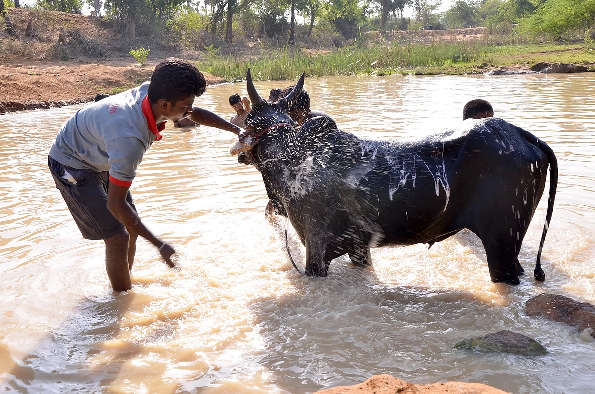 Representational Image