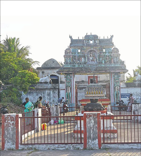 பிணிகள் தீர மூலிகை அபிஷேகம்!