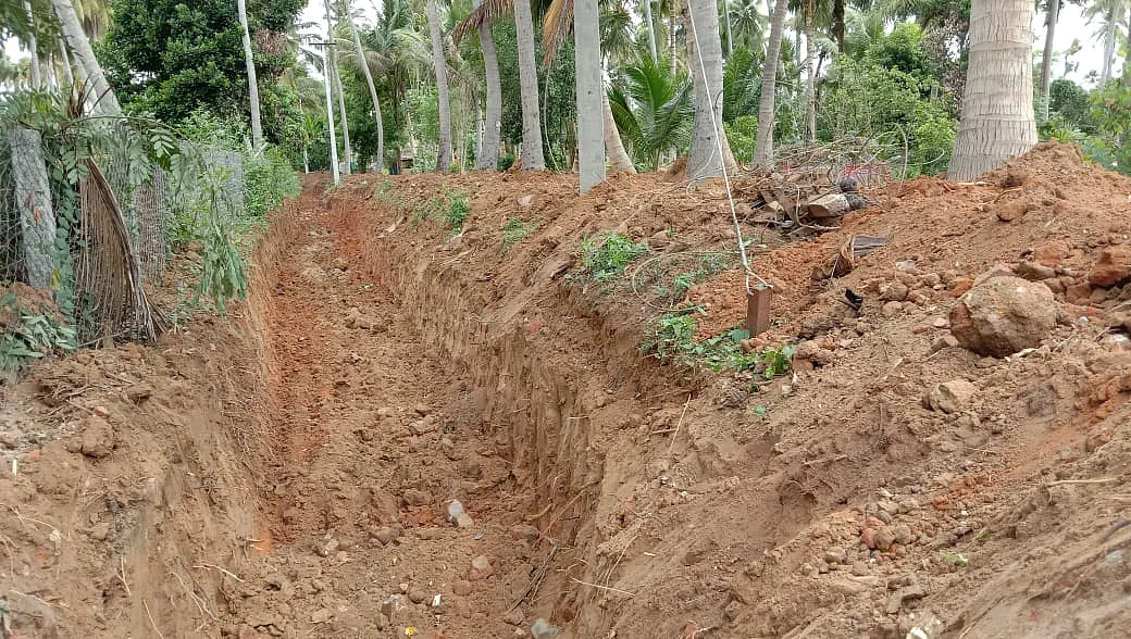 ஏரிக்கு செல்லும் வய்க்கால்