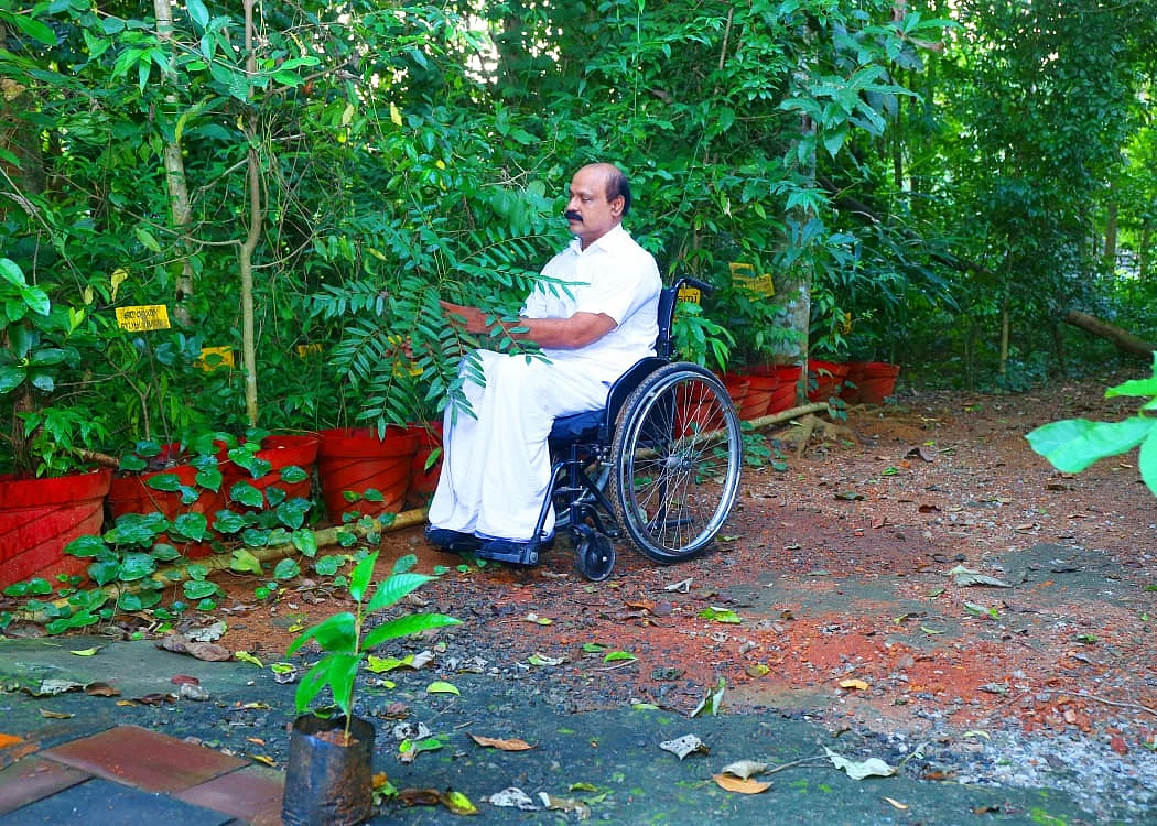 மூலிகைப் பண்ணையில் முஸ்தஃபா