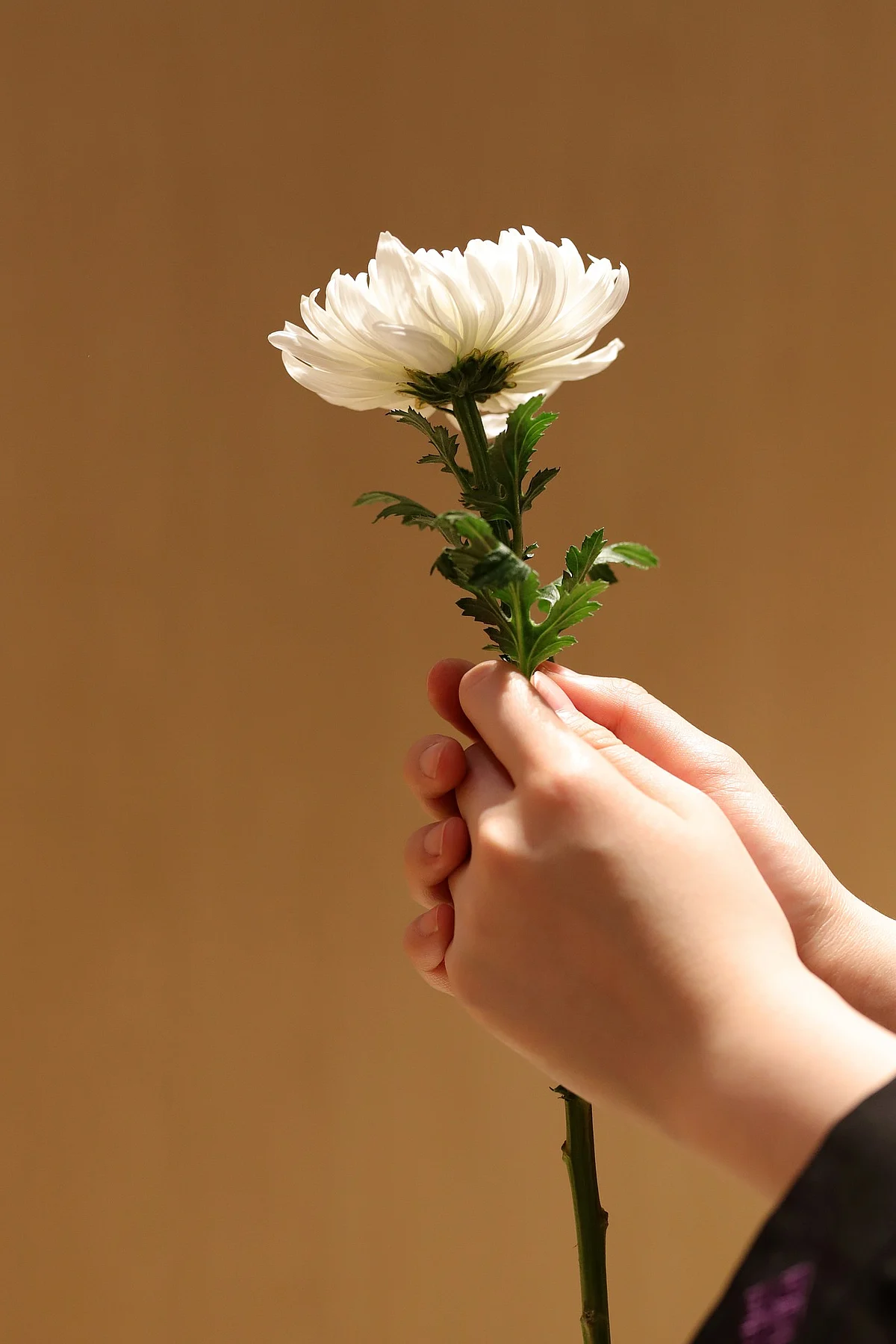 Representational Image