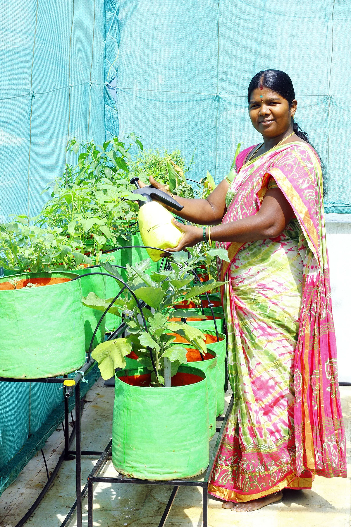 தனது மாடித்தோட்டத்தில் பிருந்தா