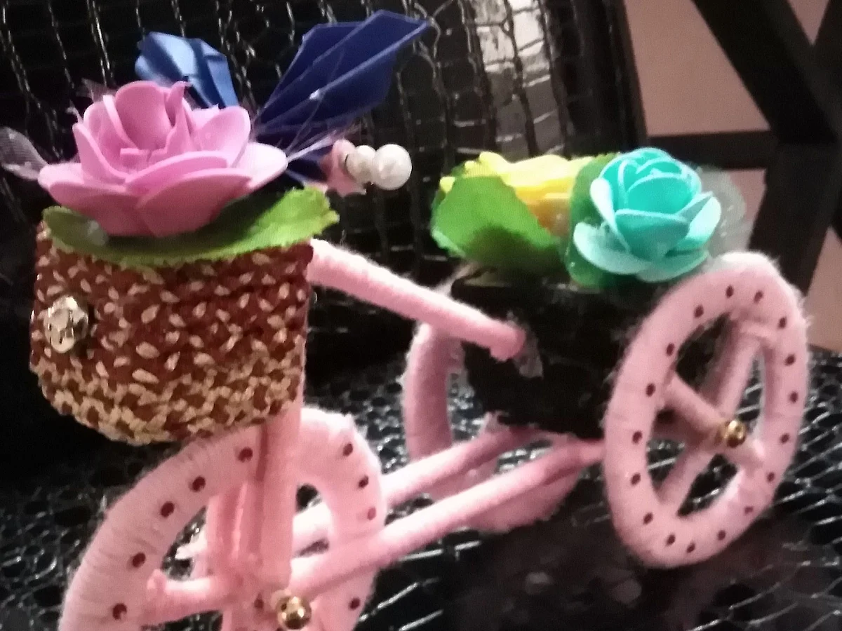 Woolen Cycle Craft