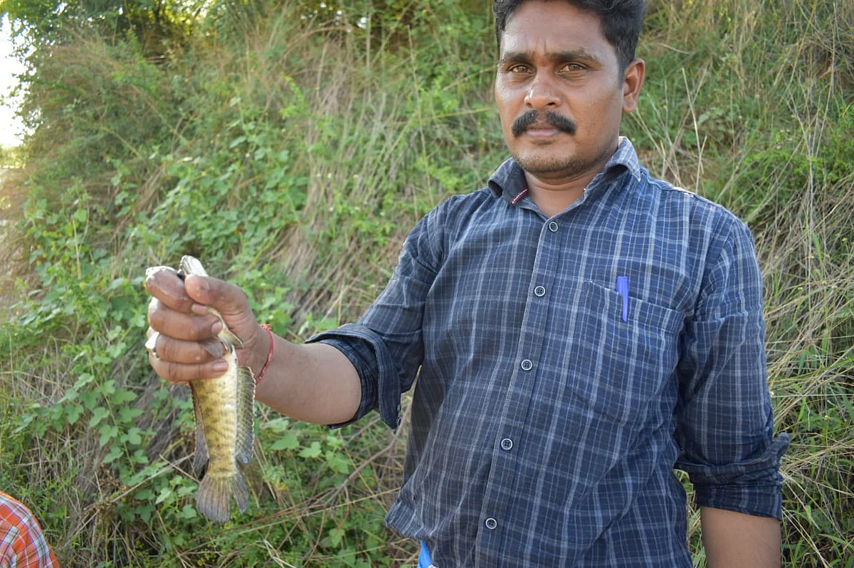 மீன்பிடி