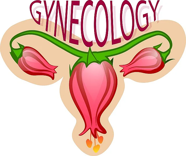 Gynecologist experience