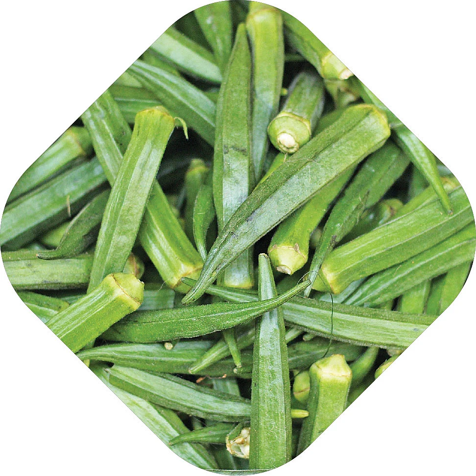 வெண்டைக்காய்