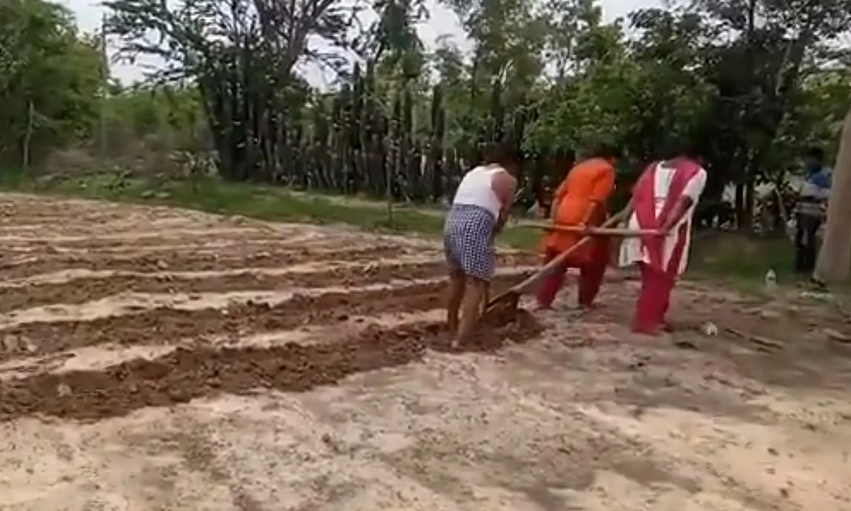 நிலம் உழும் பெண்கள்