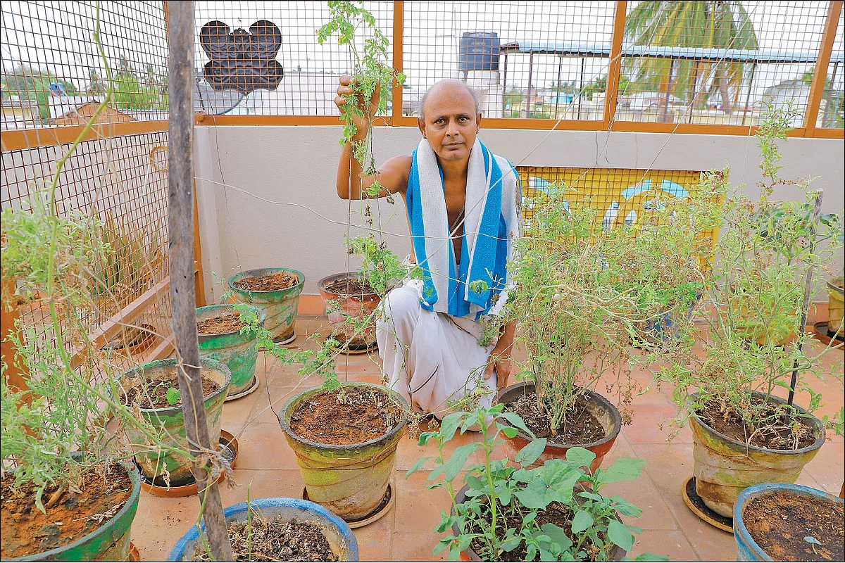 மாடித்தோட்டத்தில் சந்திரசேகரன்