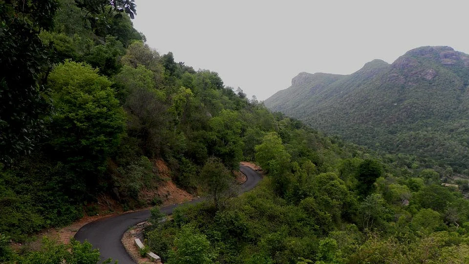 Jawadhu hills