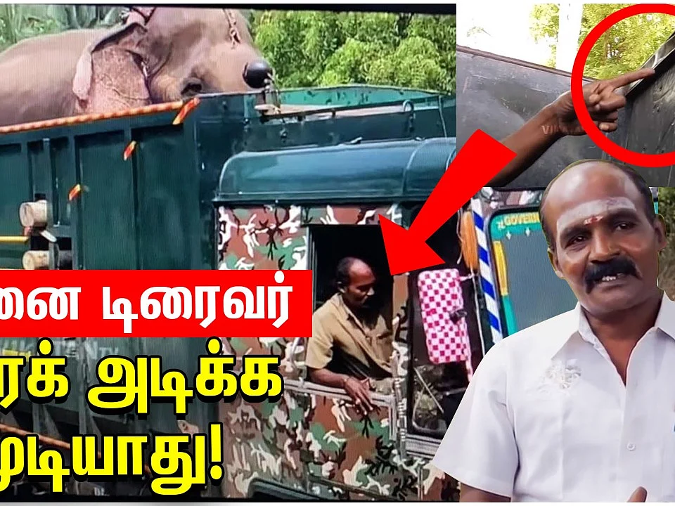 30 ஆபரேஷன்... உயிரைப் பணயம் வைக்கும் யானை டிரைவர் ஆறுச்சாமியின் கதை ! | Elephant