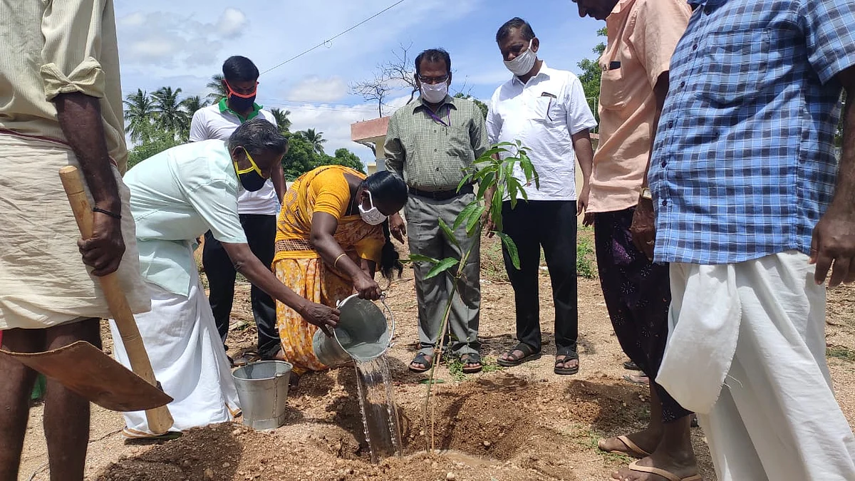 மரக்கன்றுகள் நடும் விழா