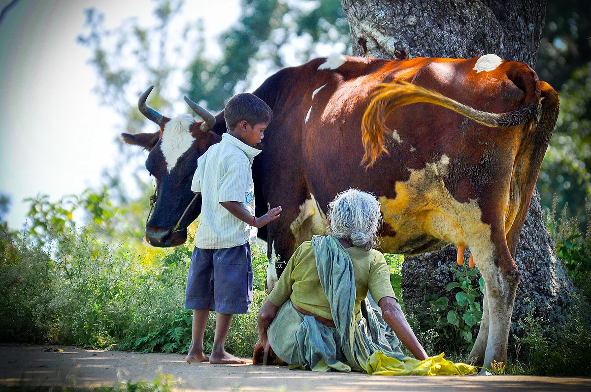 Representational Image