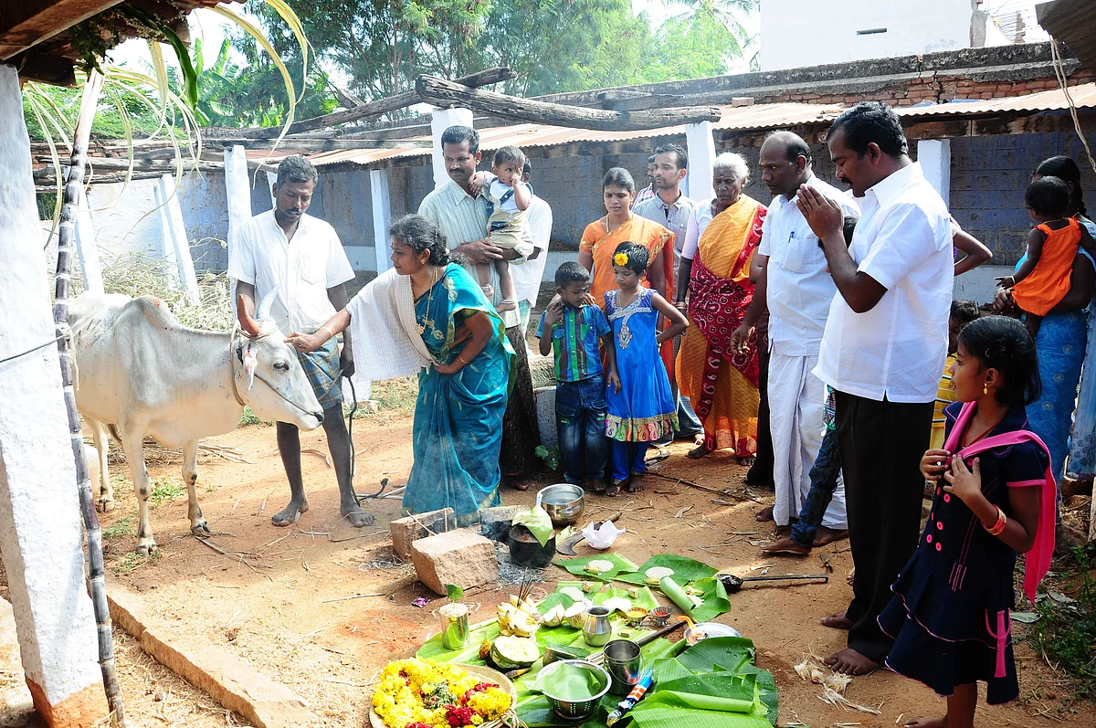 திருவிழா