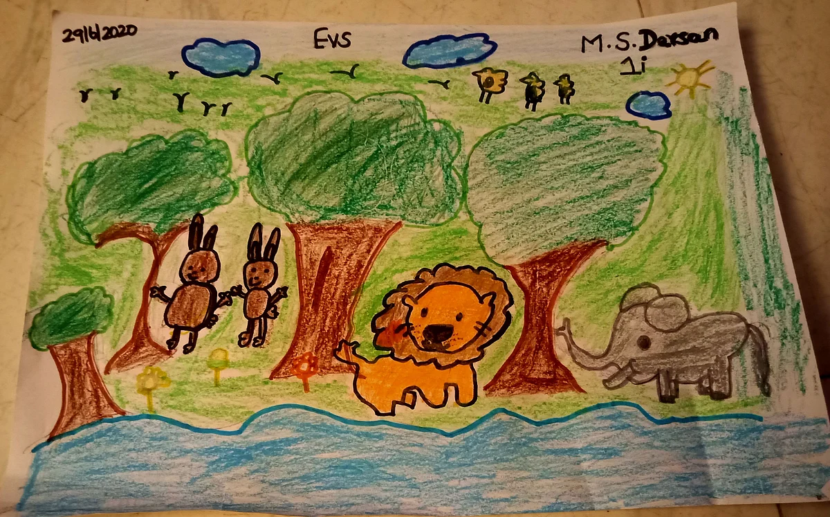 Forest