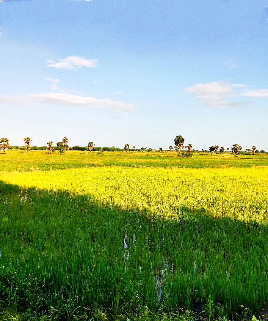 மதுரை