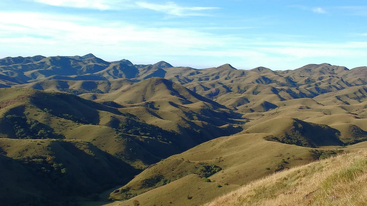 Mukurthi National Park