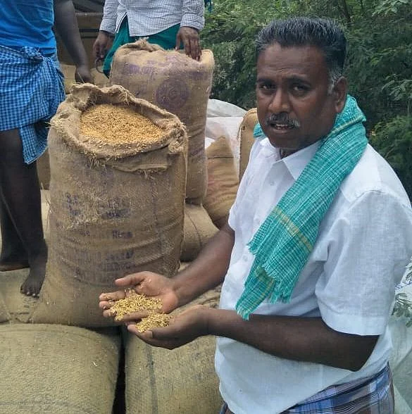 நெல் கொள்முதல்