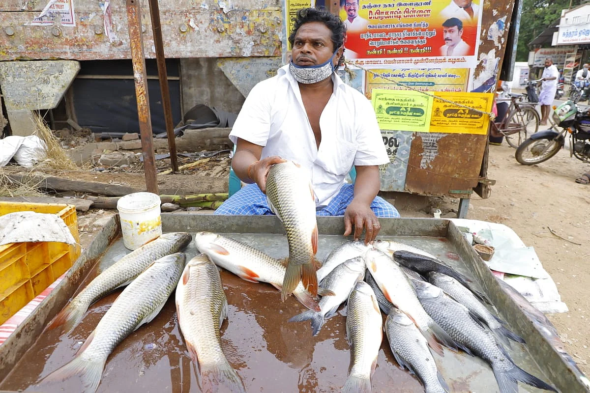 மீன் வியாபாரம்