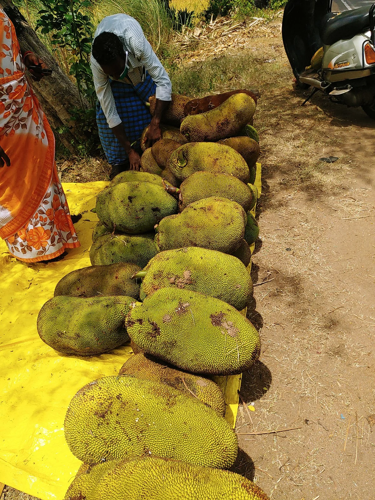 பண்ருட்டி பலாப்பழம்