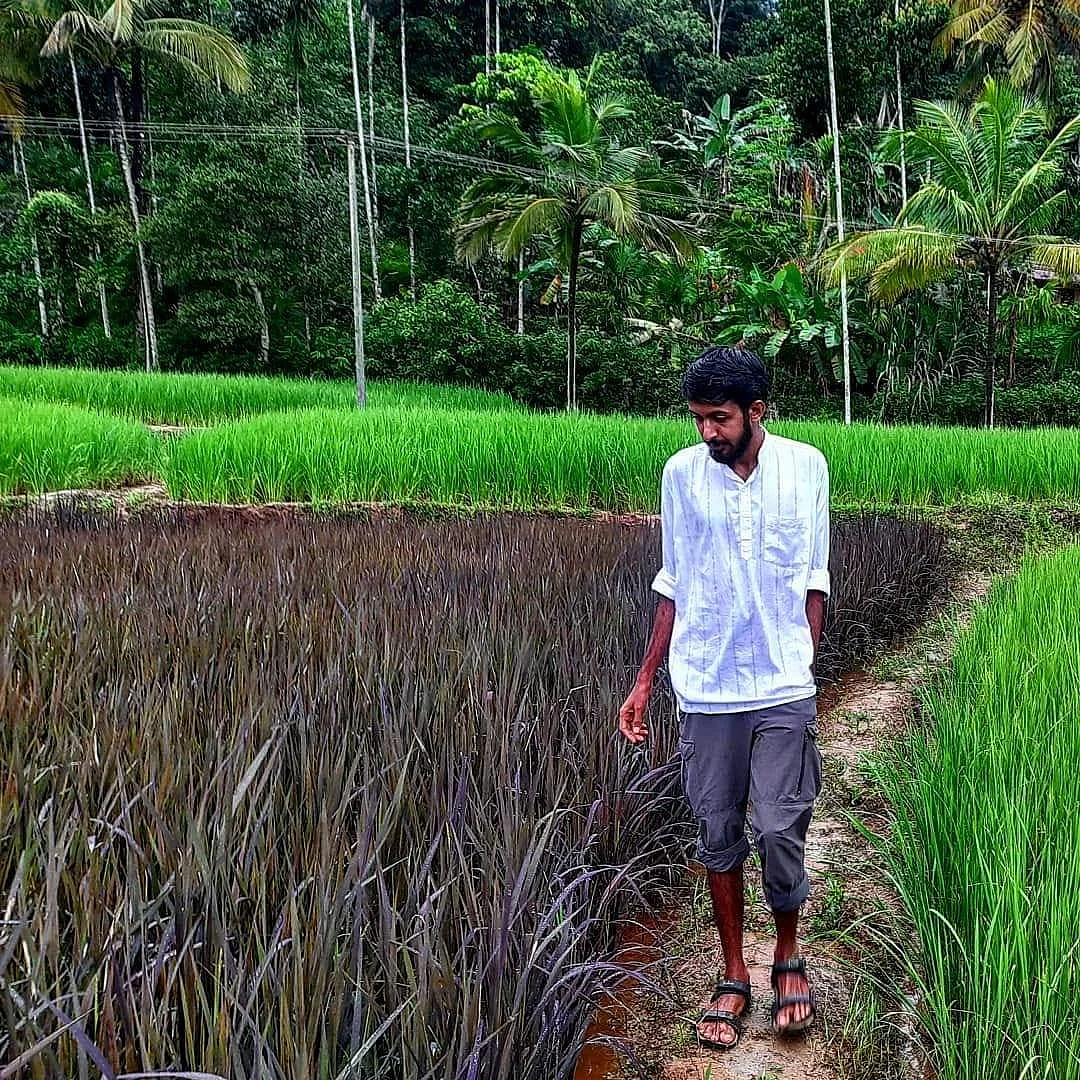 தோட்டத்தில் சூரஜ்