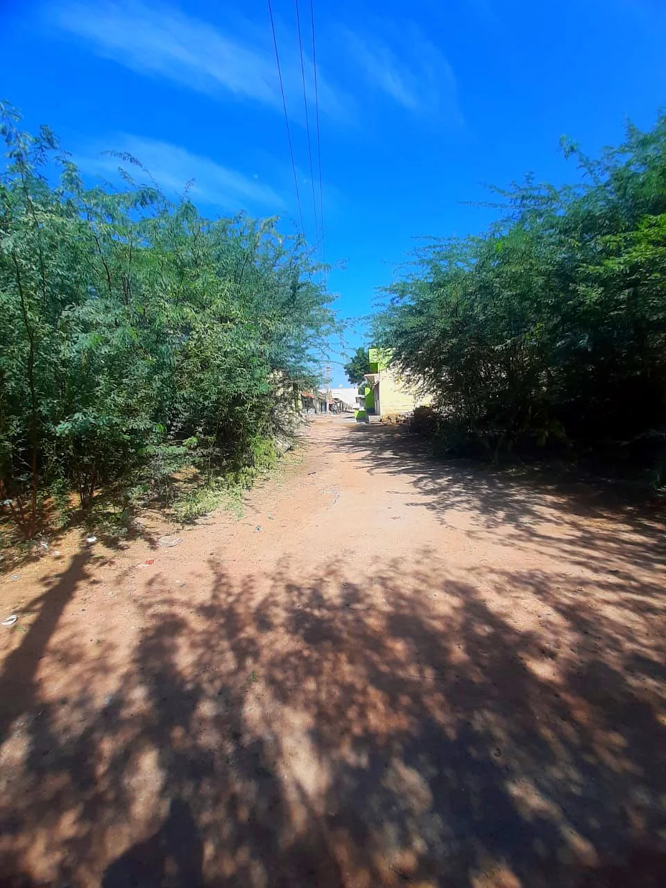 இலந்தங்குடி கிராமம்