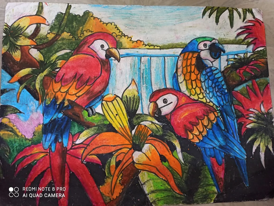 Macaw parrot