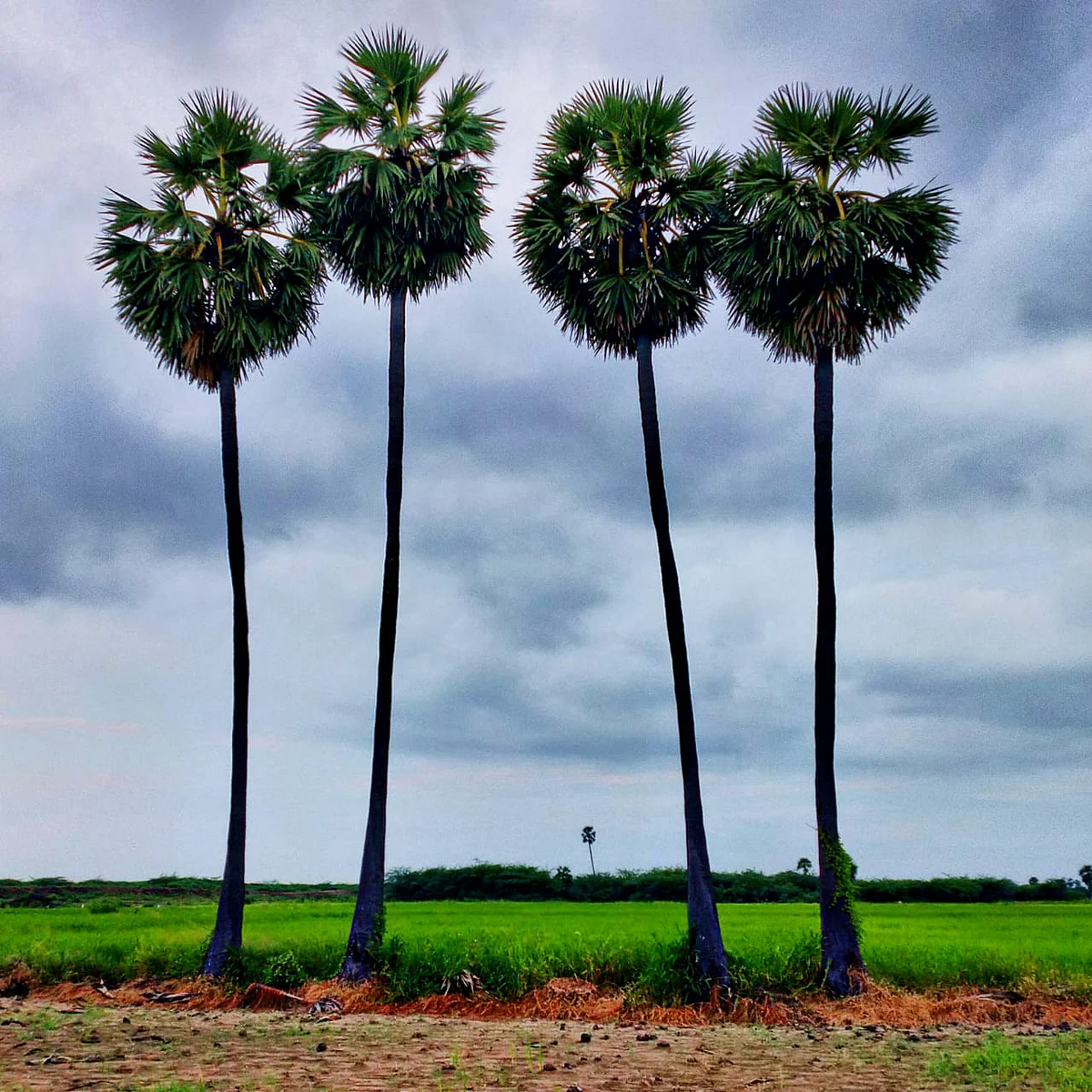 மதுரை