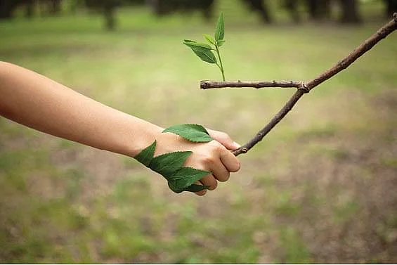 சுற்றுச்சூழல்