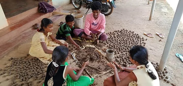 விதைப்பந்துகள்