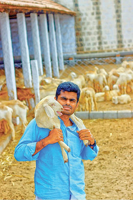 ஆடுகளுடன் அண்ணாமலை