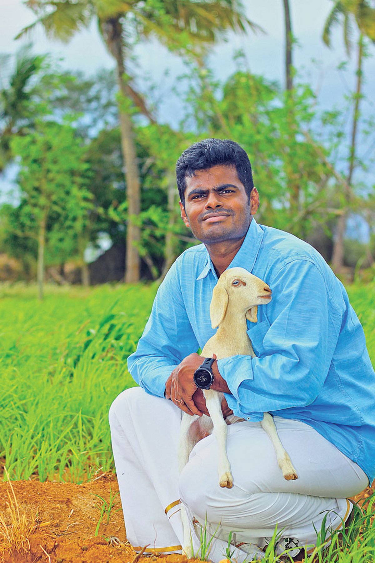 Pasumai Vikatan - 25 July 2020 - ஐ.பி.எஸ் வேலை வேண்டாம்; தற்சார்பு வாழ்க்கை  போதும்!| Karur youngster Annamalai took organic farming instead of his IPS  job - Vikatan