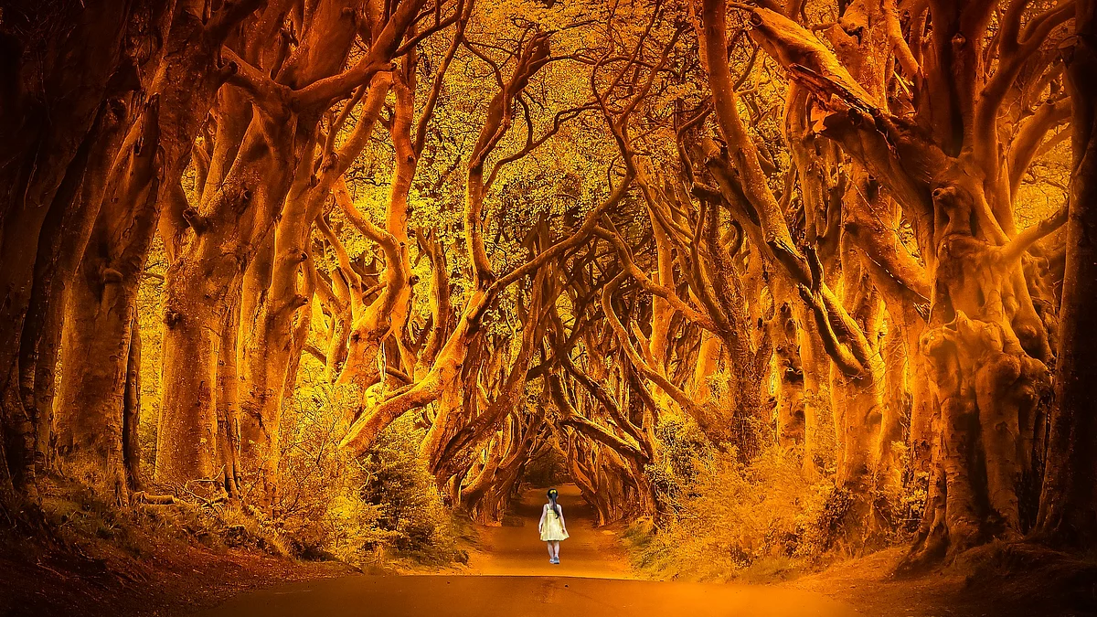 Representational Image