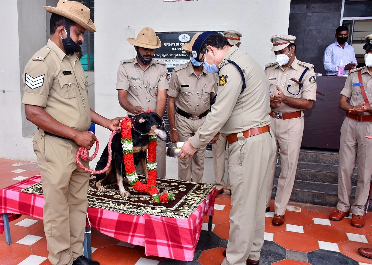 மோப்ப நாய் துங்கா