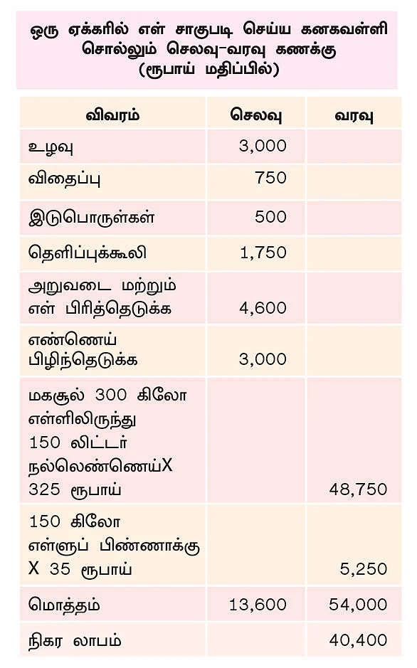 ஒரு ஏக்கர் ரூ. 40,000 - இயற்கை எள்... இனிக்கும் லாபம்!